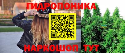 СК Мариинск