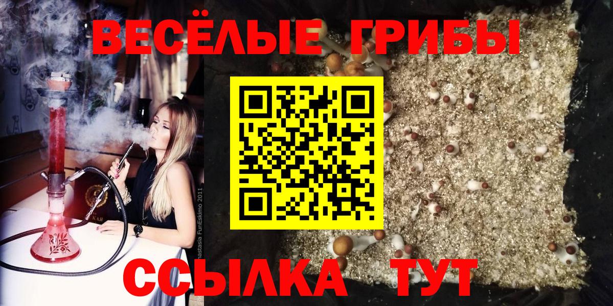 магазин продажи наркотиков  Галлюциногенные грибы Psilocybine cubensis  Азов  Вход с VPN  Галлюциногенные грибы Cubensis 